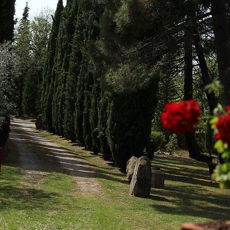 L'Antica Pala Villa Bucine Luaran gambar